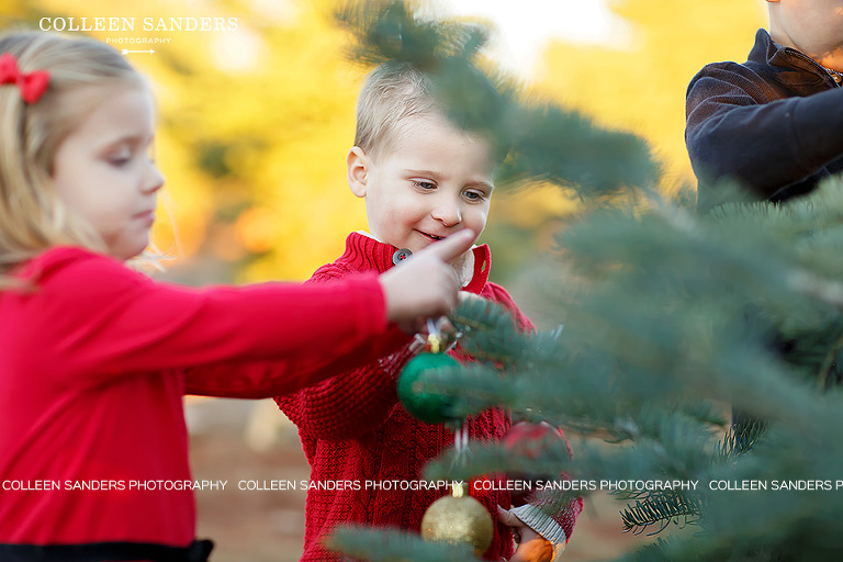 Family pictures at a Christmas tree farm by El Dorado Hills family photographer, Colleen Sanders.
