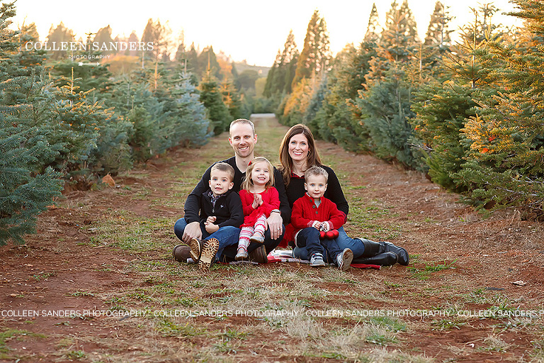 Family pictures at a Christmas tree farm by El Dorado Hills family photographer, Colleen Sanders.