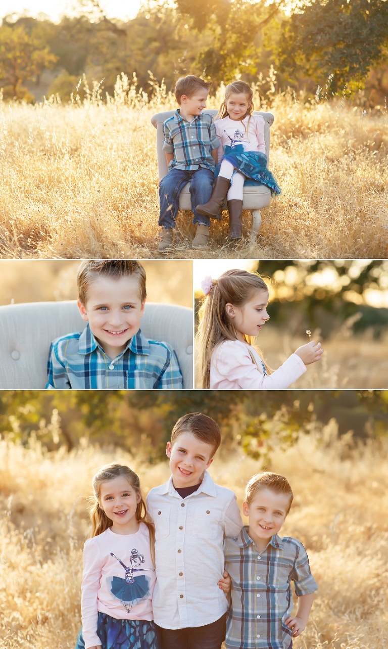 Fall family pictures in Folsom with El Dorado Hills photographer Colleen Sanders grasses oak trees golden light kids family fall mini sessions Sacramento area
