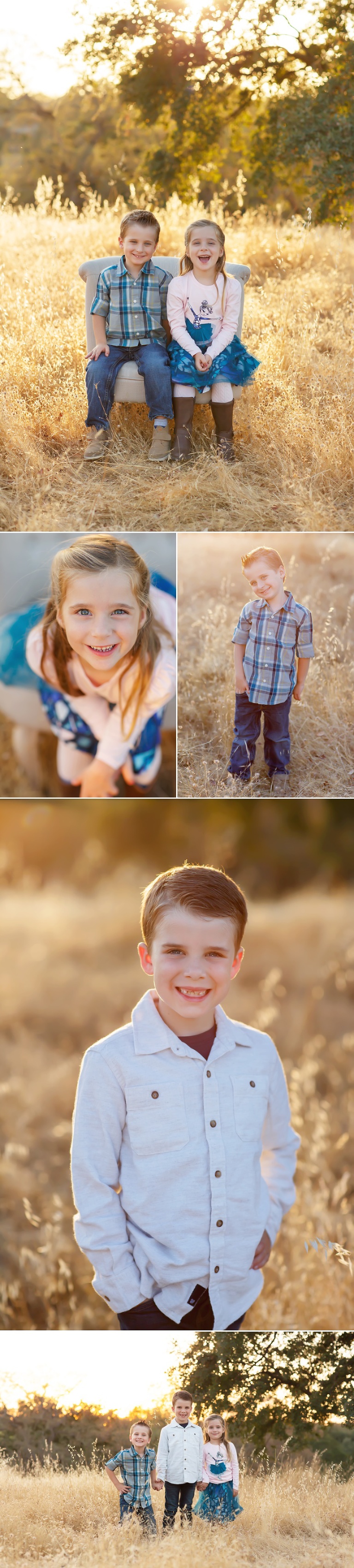 Fall family pictures in Folsom with El Dorado Hills photographer Colleen Sanders grasses oak trees golden light kids family fall mini sessions golden hour.