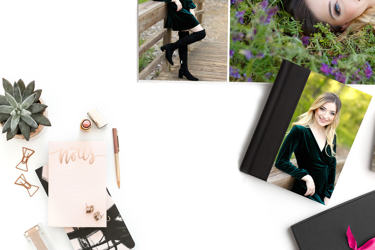 Luxe album leather image cover digital usb senior products